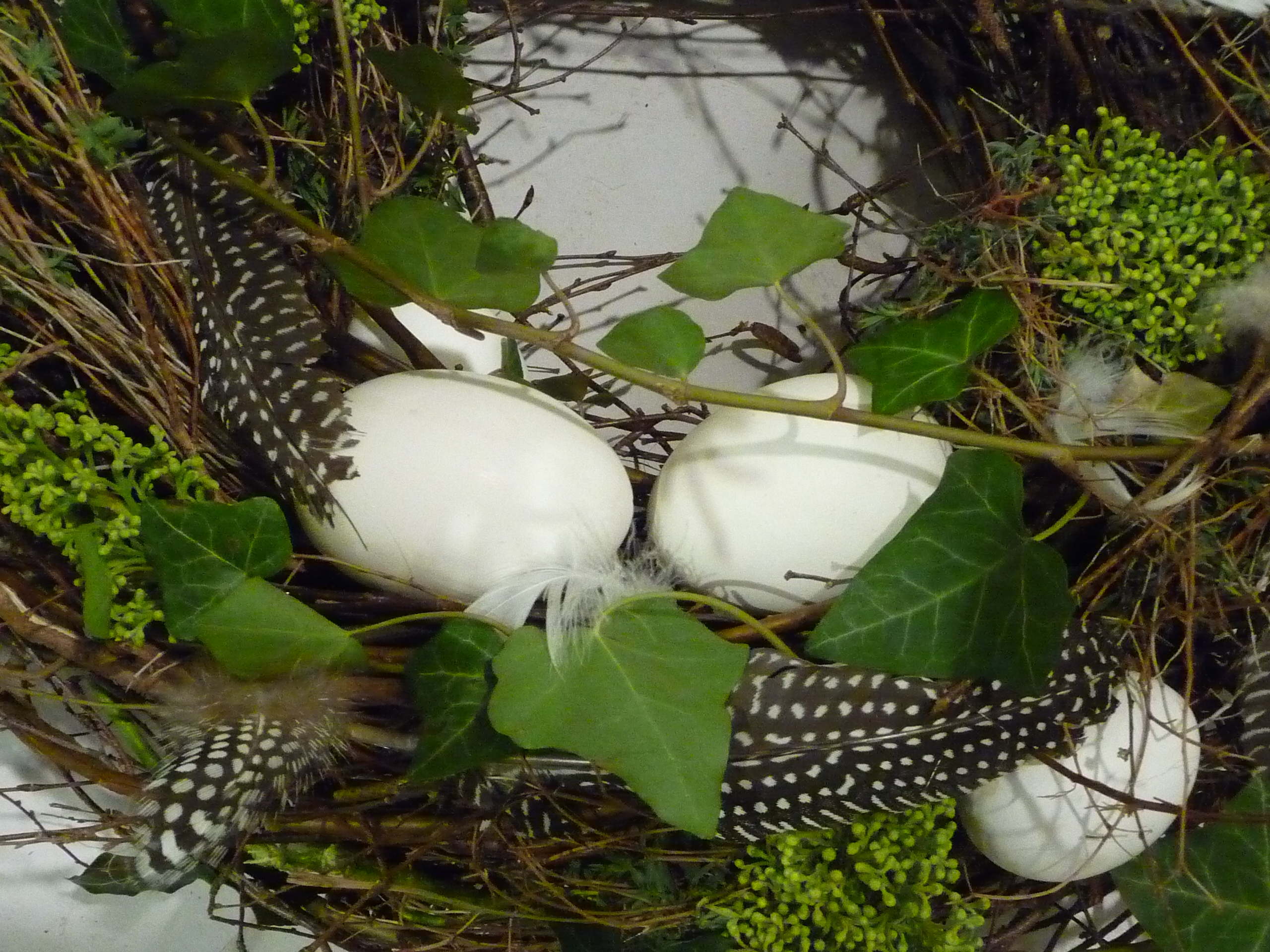 Dekokranz Osterkranz Natur D 35 cm handgearbeitet aus Naturmaterialien wie  Zweige,Efeu,Skimmie, Gänse- und Wachteleier Federn – Blumen & Ambiente