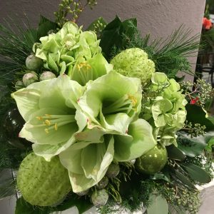 Amaryllistraum_weiss-grün